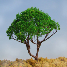 model trees